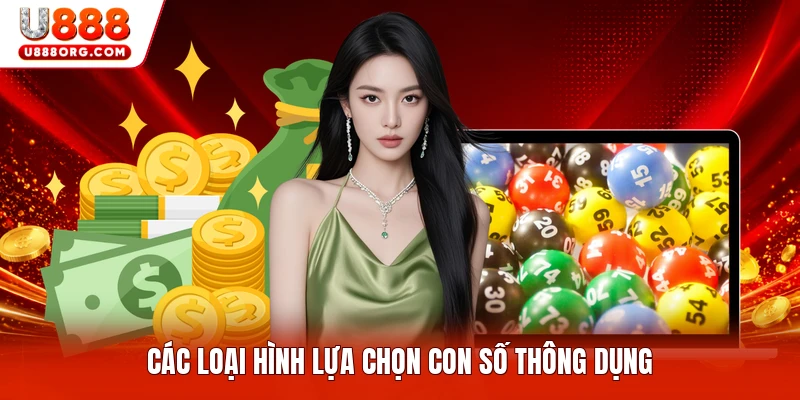 Các loại hình lựa chọn con số thông dụng