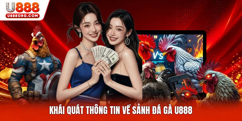 Khái quát thông tin về sảnh Đá gà U888