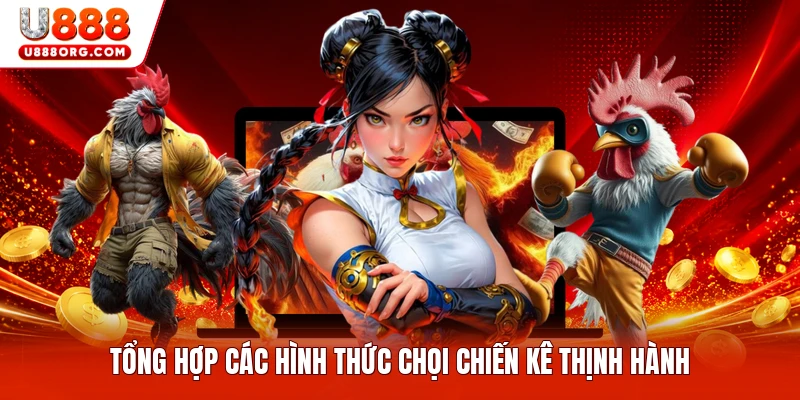 Tổng hợp các hình thức chọi chiến kê thịnh hành